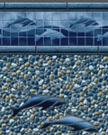 Blue Dolphin / Seabrook